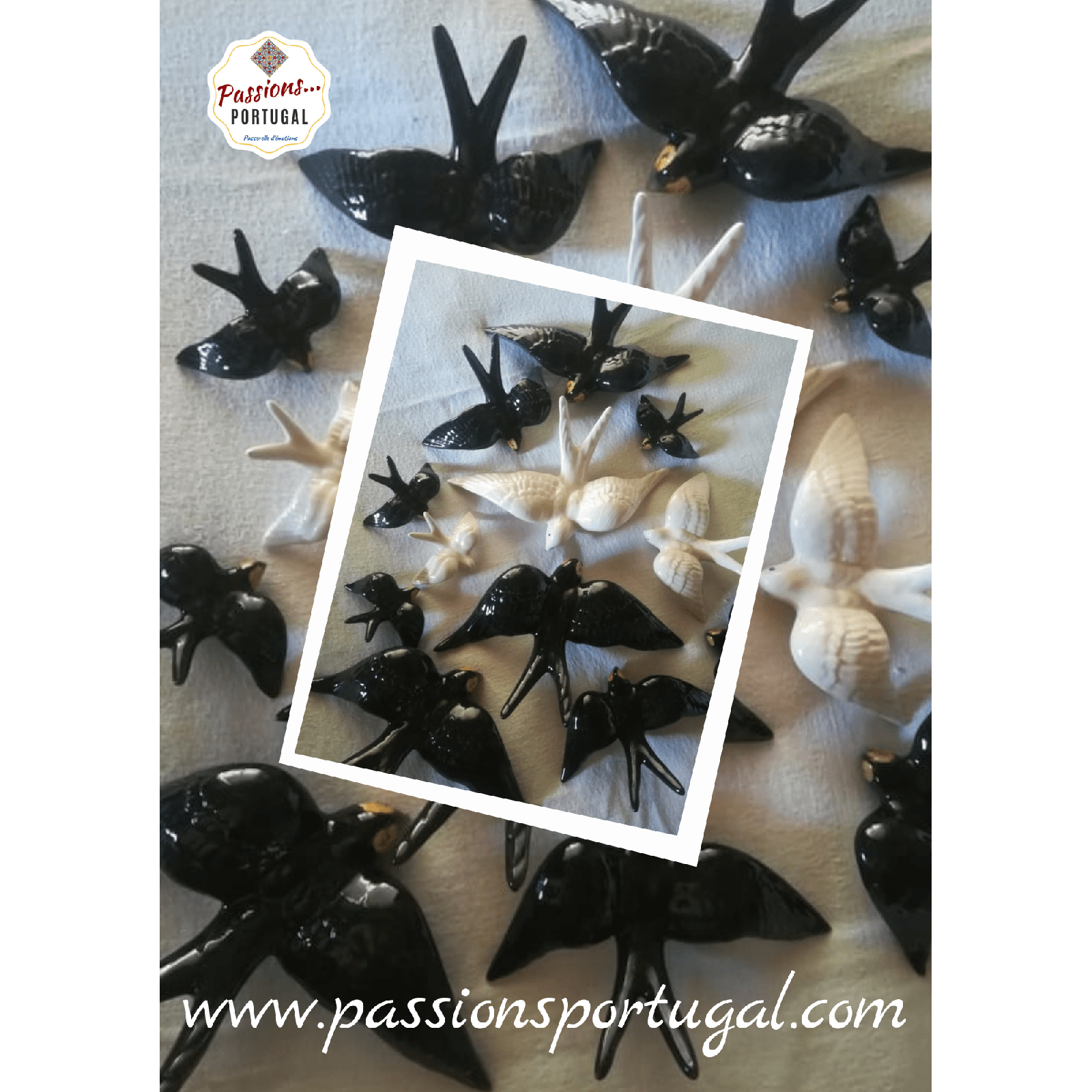 Hirondelles Passions Portugal Hirondelles Passions Portugal