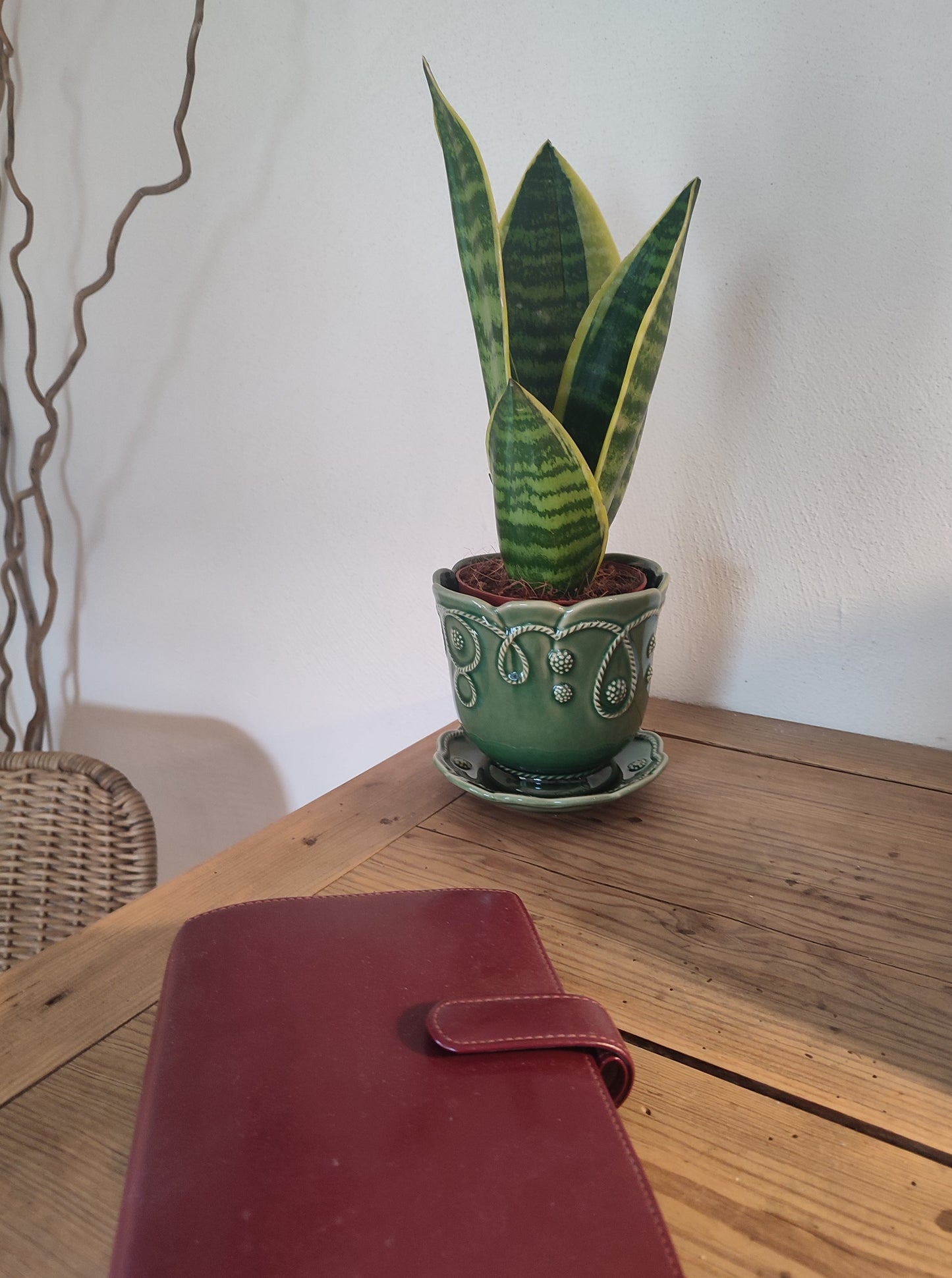 Cache pot et sa soucoupe, de couleur vert foncé, fabrication portugaise. FABRIQUÉ AU PORTUGAL