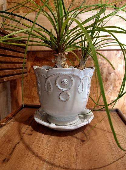 Cache pot et sa soucoupe, de couleur écru, fabrication portugaise. MADE IN PORTUGAL