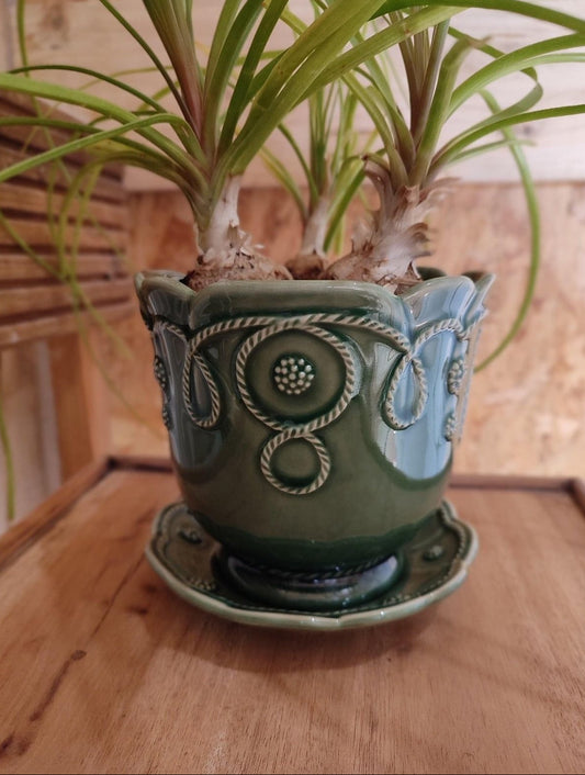 Cache pot et sa soucoupe, de couleur vert foncé, fabrication portugaise. FABRIQUÉ AU PORTUGAL