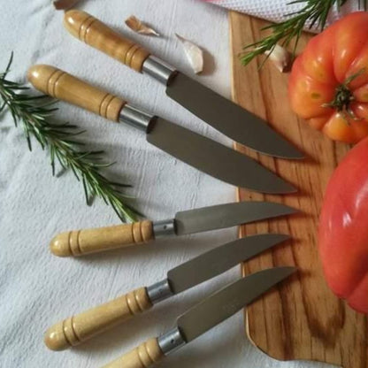 Couteau inox & bois N°1
